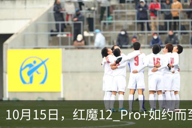 10月15日，红魔12 Pro+如约而至，电竞世界又要风生水起！